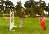Lois Obedience