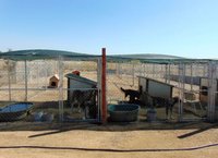 Back Kennels.jpg