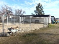 Whelping Area