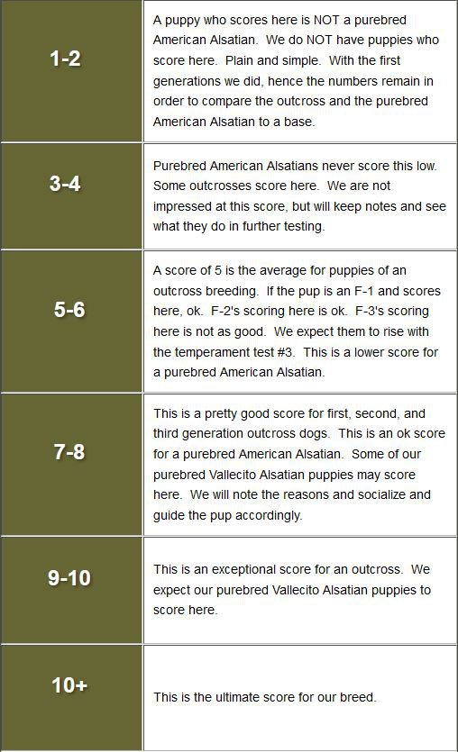 Expectations of the American Alsatian