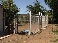 Office Kennels.jpg