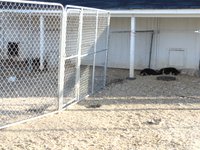 Puppy Whelping Area