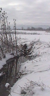 Snowy River.jpg