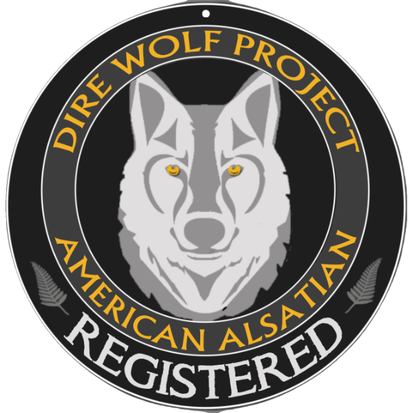 Puppies for Sale Schwarz Dogs