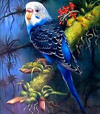 parrot-rhinestone-painting-5d-diamond-diamond-painting-birds